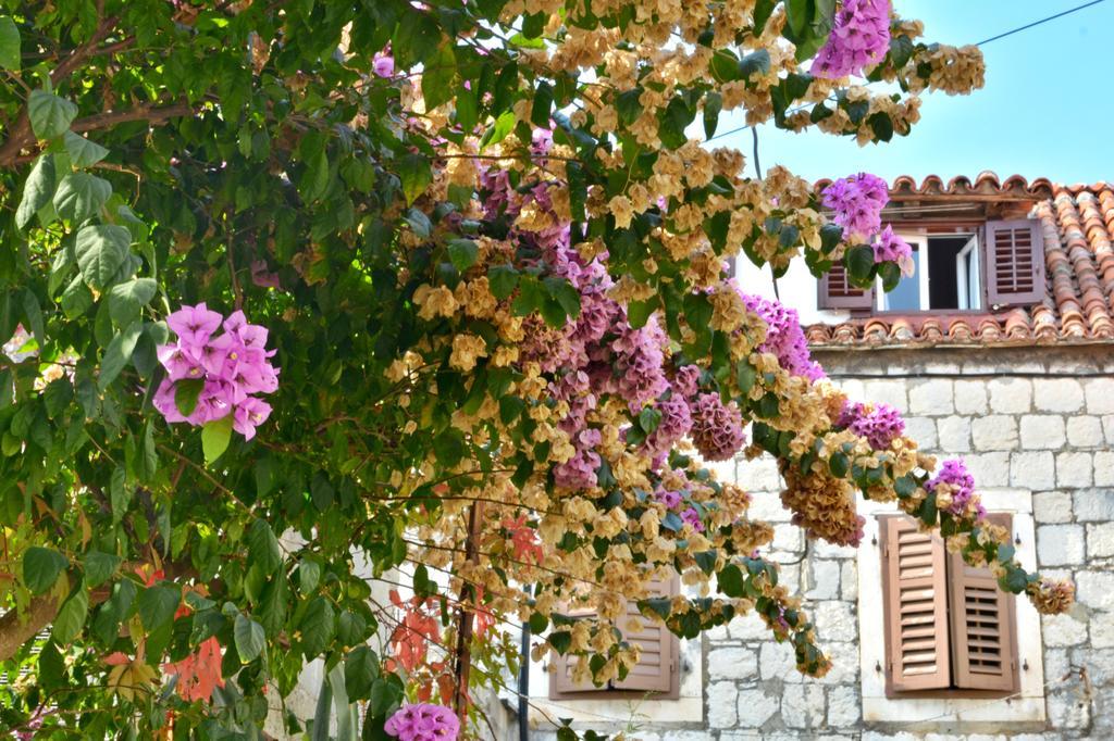 Apartment Artemia Split Dış mekan fotoğraf